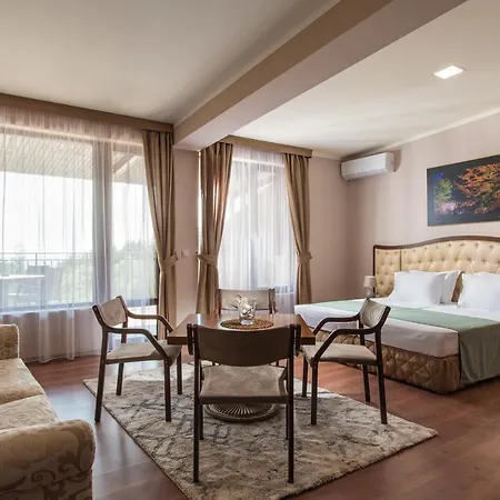 Hotel Magus