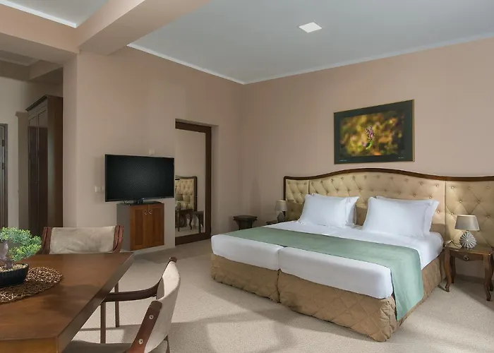 Ξενοδοχείο Magus