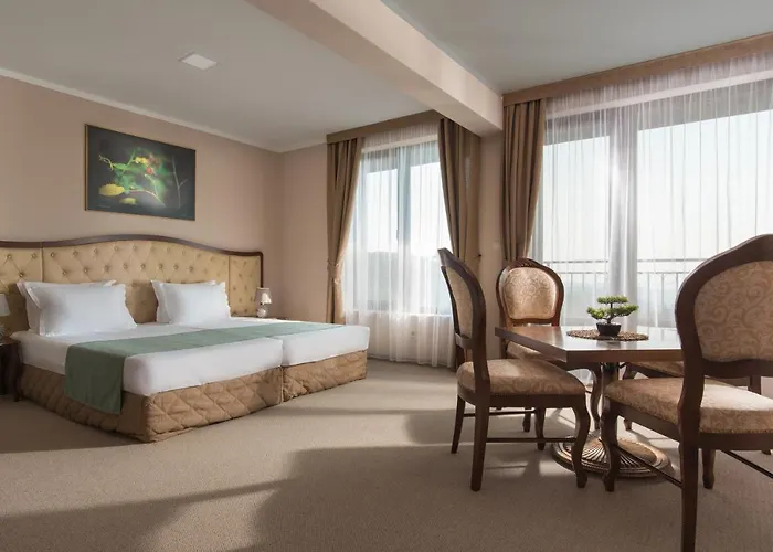 Magus Ξενοδοχείο Kladnitsa